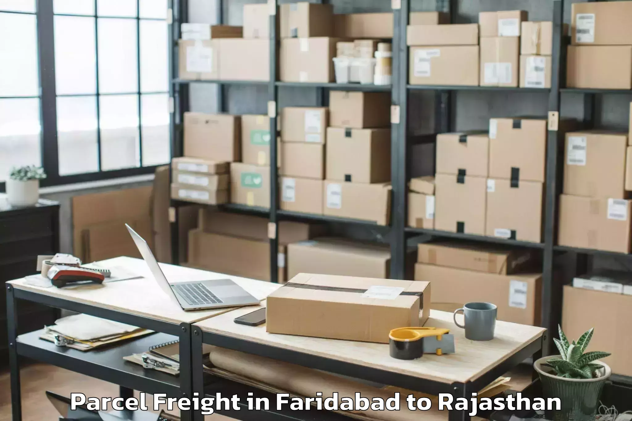 Quality Faridabad to Nims University Jaipur Parcel Freight